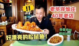 小老饭庄老板爆料视频大全,揭秘美食背后的故事与真相